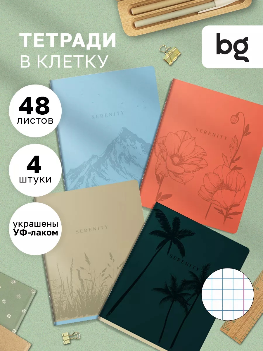 Тетради в клетку 48 листов школьные набор 4 штуки с полями BG 116556879  купить за 268 ₽ в интернет-магазине Wildberries