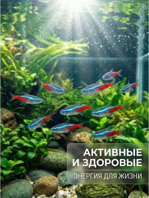 Terraoptima Гранулы 100г корм для рыбок аквариумных, 100 г, фото 5