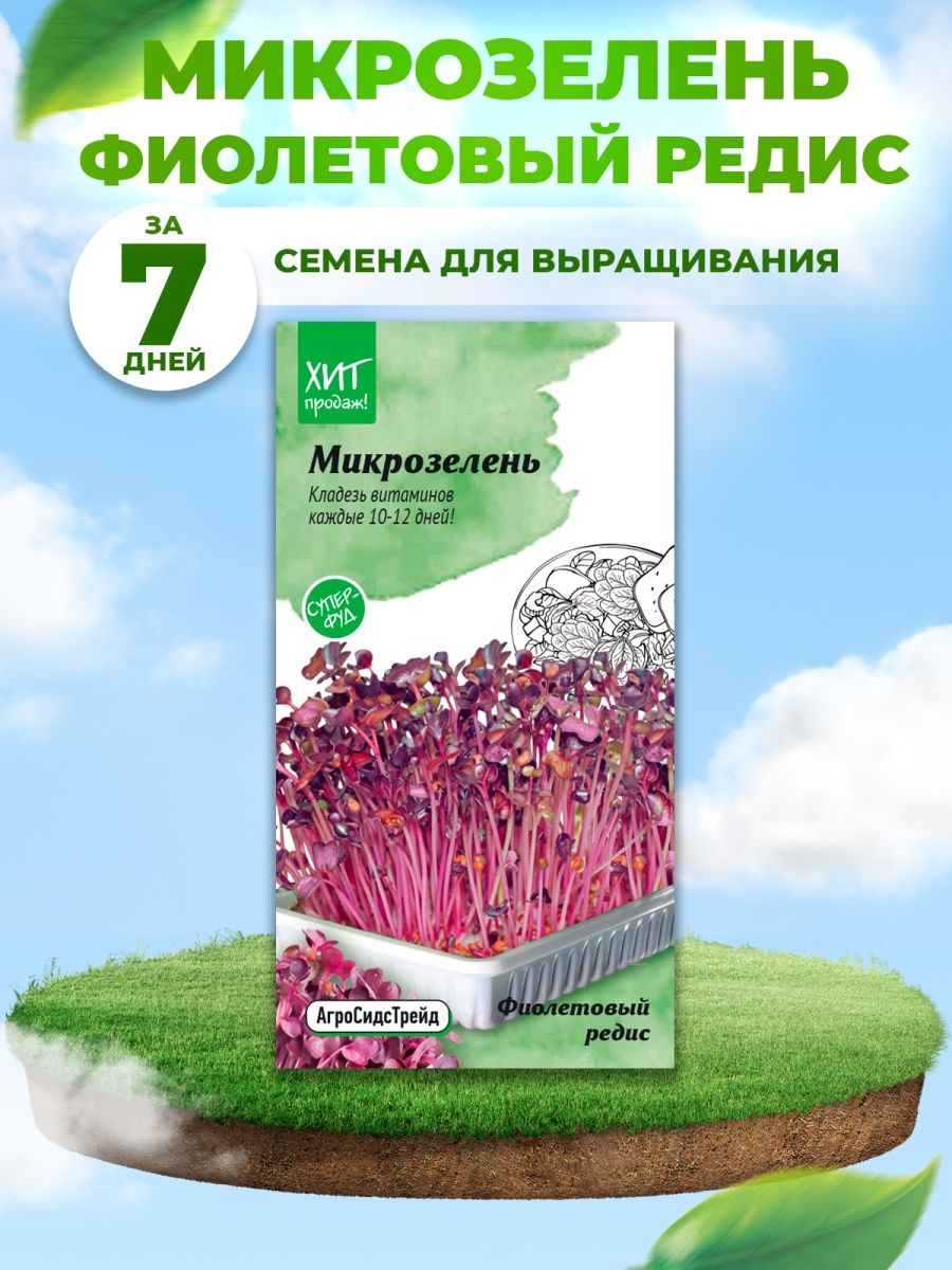 Агросидстрейд. Микрозелень редис фиолетовый. Микрозелень фиолетовый редис фиолетовый микрозелень. Редис фиолетовый микрозелень польза. Микрозелень отзывы потребителей.