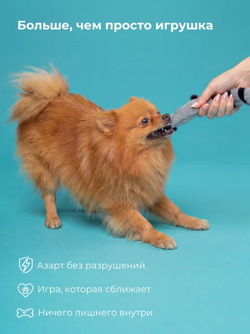 My Bro Игрушка для собак Без наполнителя шуршащая с пищалкой, вариант, фото 4