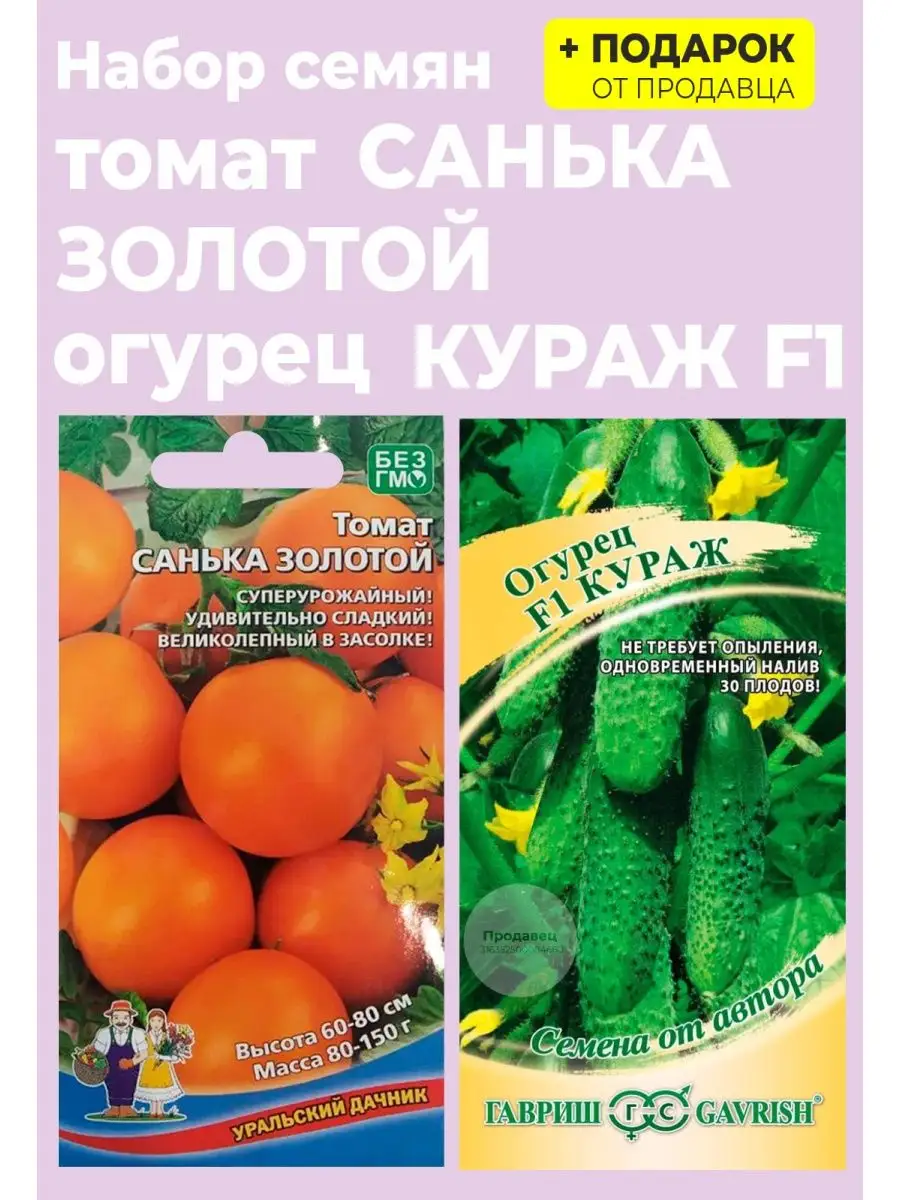 Томат Санька Купить Семена