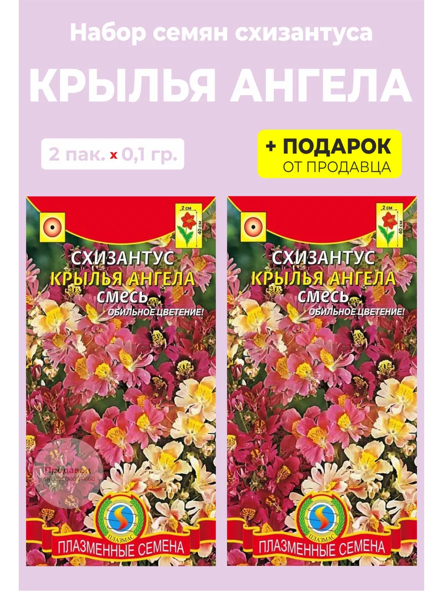 Схизантус Купить Семена В Партнере