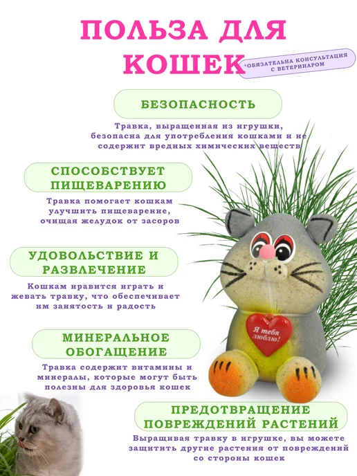 Сады Аурики Набор для выращивания растений травянчик кот, вариант, фото 3