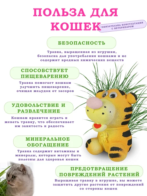 Сады Аурики Набор для выращивания растений травянчик тигр, вариант, фото 3