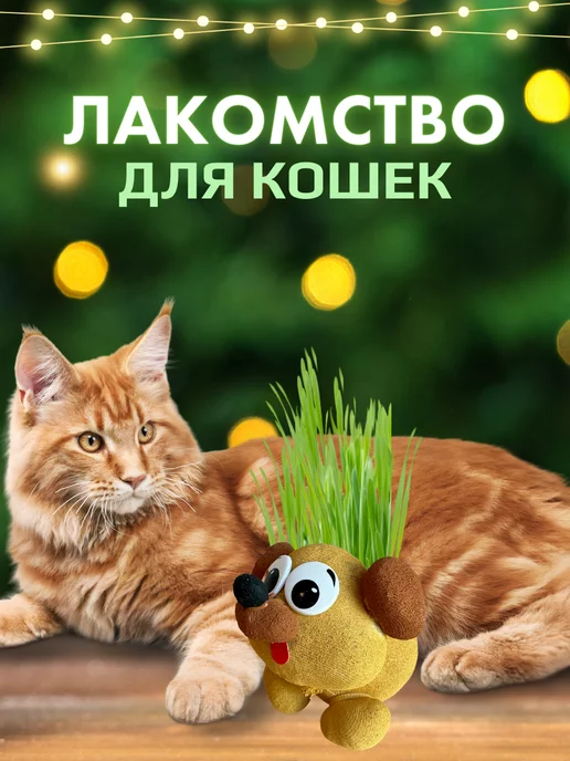 Сады Аурики Набор для выращивания растений травянчик собачка мопс, вариант, фото 4