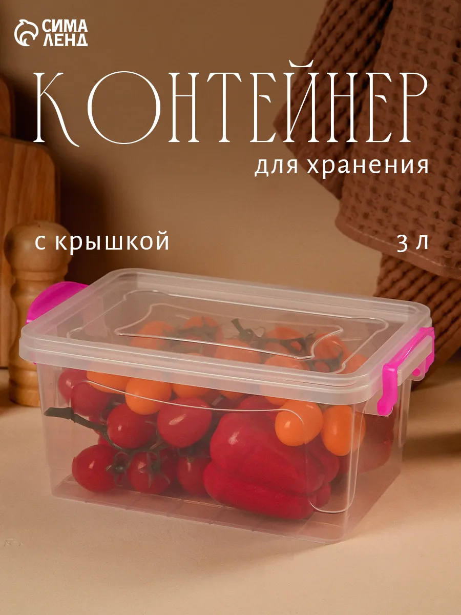 Контейнер пищевой 3 л "RICCO" 28×16×12 см